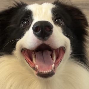 边小沐头像