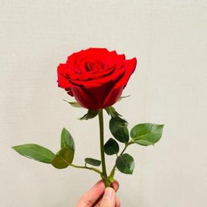 幸福的痒痒挠头像