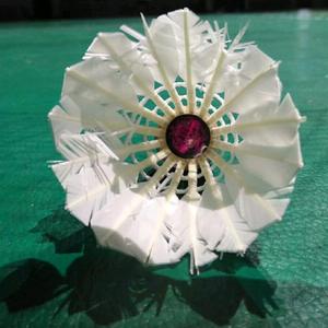 流放之路镜子头像