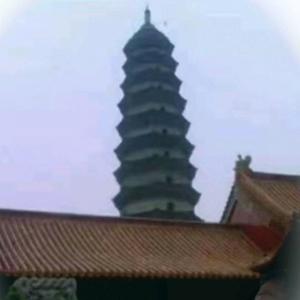 倔强阿洪头像