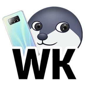 WK爱玩遊戏头像