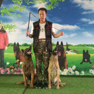 训犬师招聘