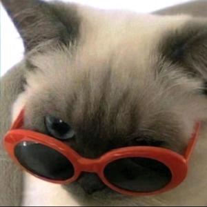 精忠报国的猴头像
