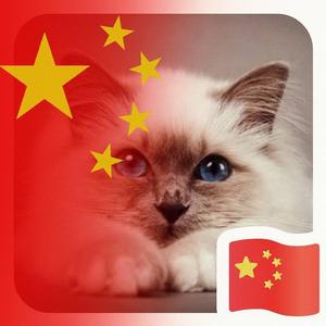 鸿运当头头像