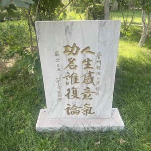 功名谁复论9头像