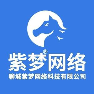 聊城紫梦网络科技公司头像