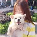 歆婉说娱乐头像