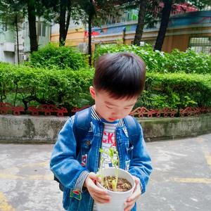 派爸讲故事绘本头像