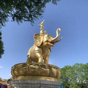 晓霞头像