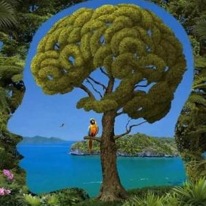 微风中的枫叶头像