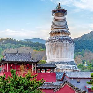 山西导游-阿文(旅游接待)头像