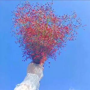 玫玫说事头像