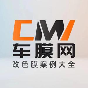 车膜网改色膜案例大全头像