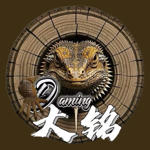 大铭｜鬃狮蜥蜴头像