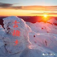 打爆不平头像