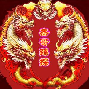 杰哥臻探头像