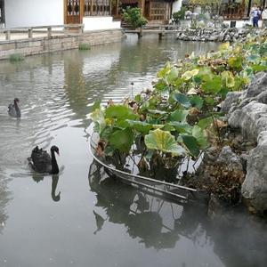 M谈小庄头像