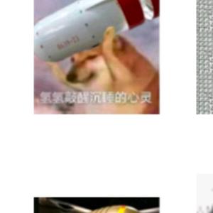 用户1710494905572头像