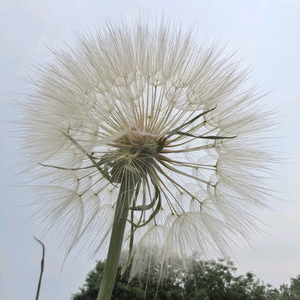 风景人生头像