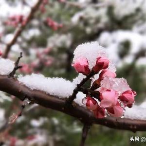 麦浪轩酒吧头像