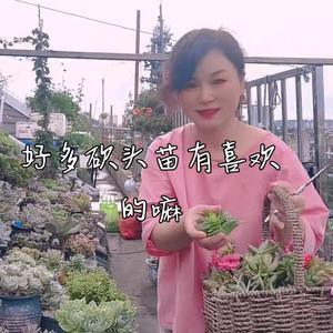 汉中花花头像