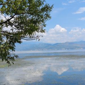 我是真的浪头像