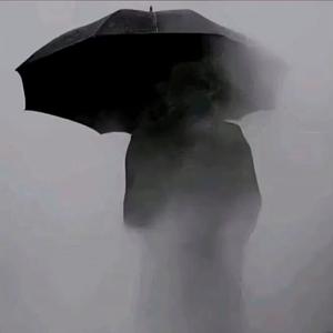 浮生若茶头像