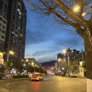 启始录头像