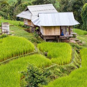 四川村生泊长旅游管理有限公司头像