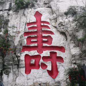 小小财迷8头像