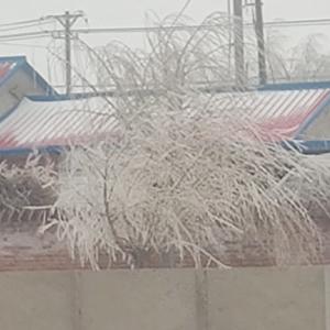 小路爱科技头像