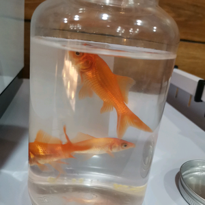 心有灵犀117353081头像