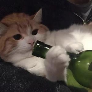 靠王者吃饭吗头像