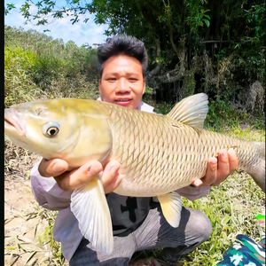 小男野钓头像