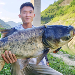 小黄同学爱钓鱼头像