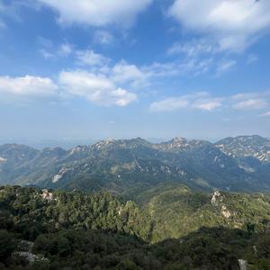 明辉头像