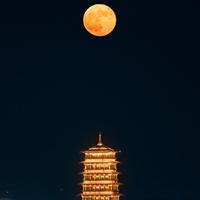 一丝不苟Mr范头像