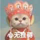 飞龙侍及头像