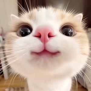 格格头像