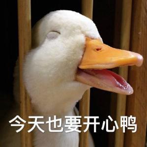 阿翔观点头像