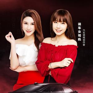 说车女司机头像
