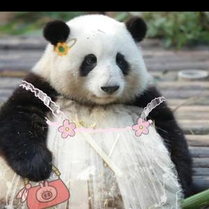 又是晴天头像