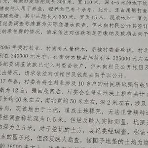 河北省衡水市景县留智头像