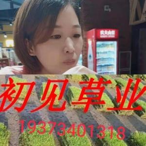 初见草业卿卿头像