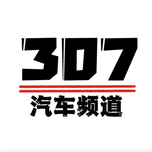 307汽车头像