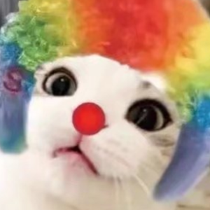 猫meme剧院头像