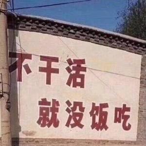 奋发有为大肉包头像