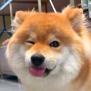 搞笑四爷头像