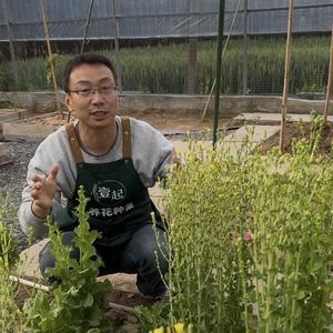 壹起菜园陈老师头像