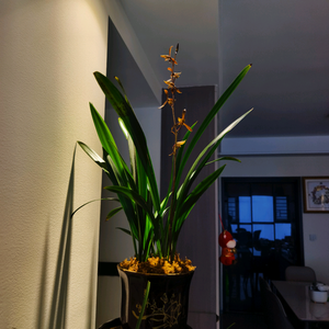 礦泉水（毕节）头像